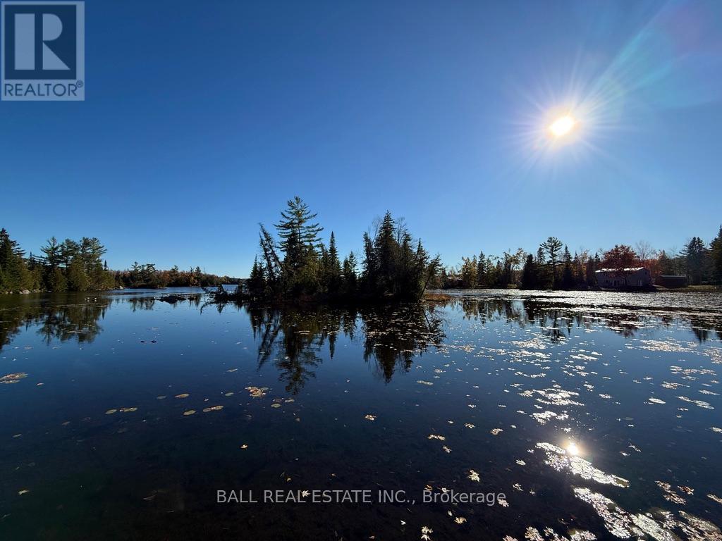 2149 Little Chipmunk Road, Douro-Dummer, Ontario  K0L 2H0 - Photo 34 - X12491638