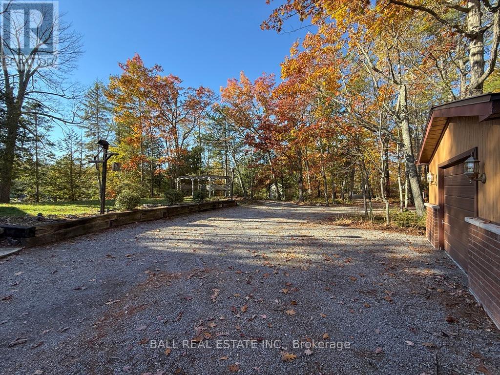 2149 Little Chipmunk Road, Douro-Dummer, Ontario  K0L 2H0 - Photo 39 - X12491638