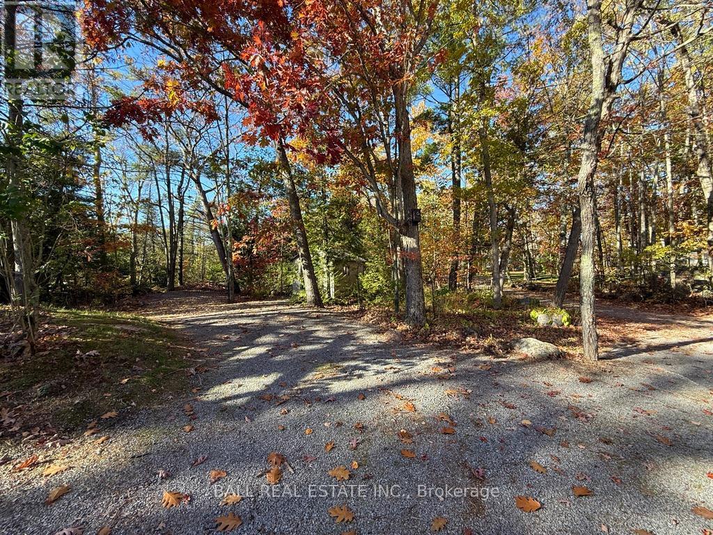 2149 Little Chipmunk Road, Douro-Dummer, Ontario  K0L 2H0 - Photo 41 - X12491638