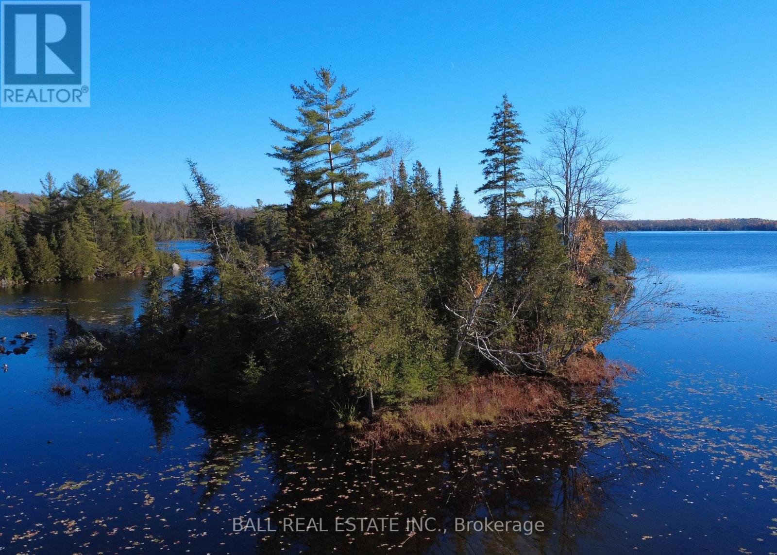 2149 Little Chipmunk Road, Douro-Dummer, Ontario  K0L 2H0 - Photo 49 - X12491638
