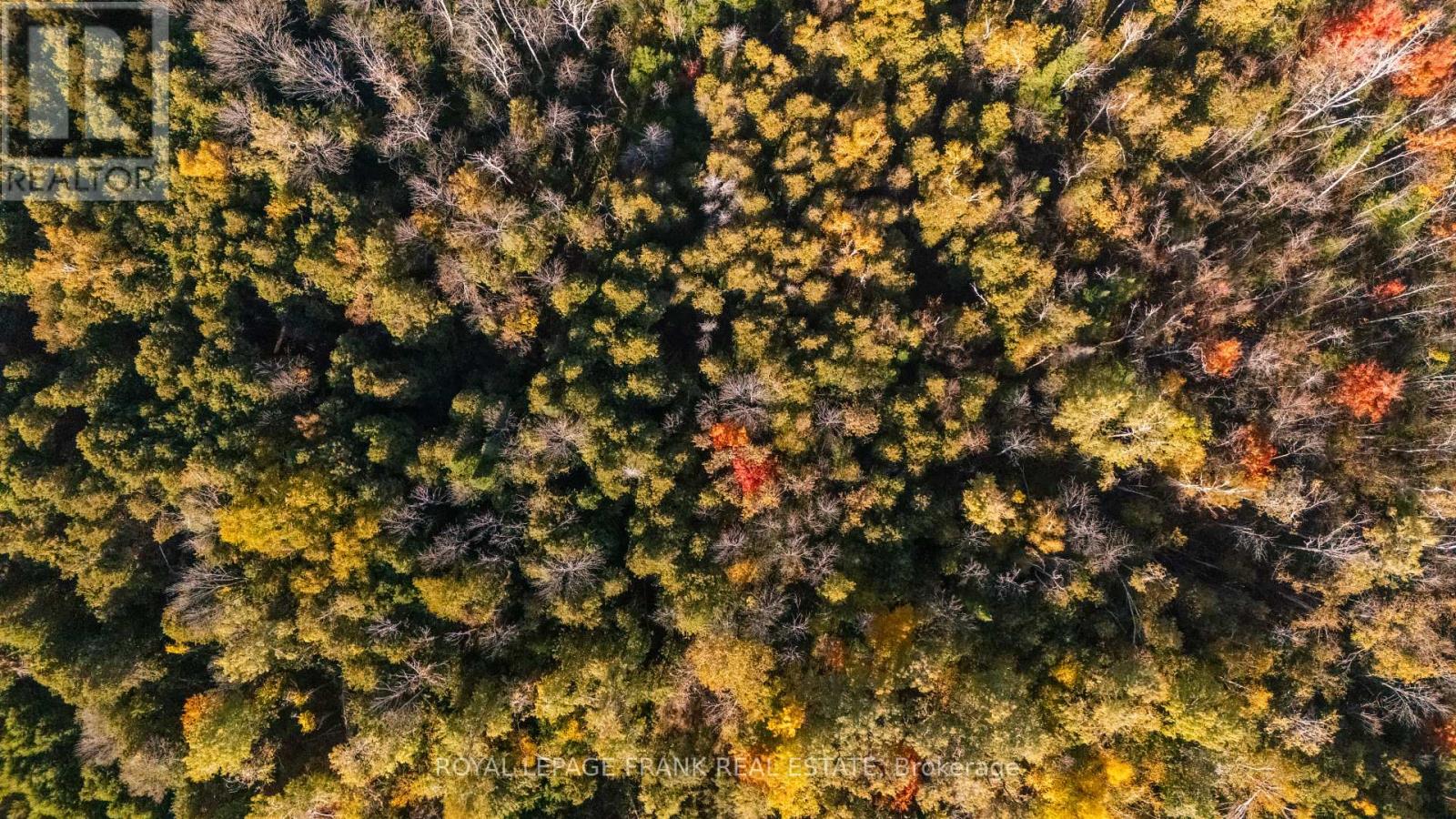 740 Mount Horeb Road, Kawartha Lakes (Manvers), Ontario  K0L 2X0 - Photo 3 - X12491854