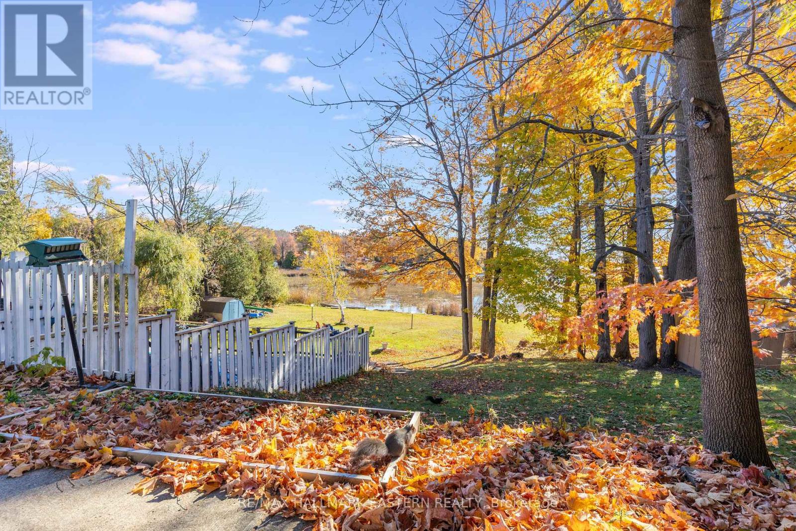 14 Franklin Street, Curve Lake First Nation 35 (Curve Lake First Nation), Ontario  K0L 1R0 - Photo 50 - X12492546
