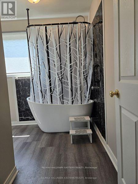 4075 County Road 44, Havelock-Belmont-Methuen (Belmont-Methuen), Ontario  K0L 1Z0 - Photo 30 - X12493486