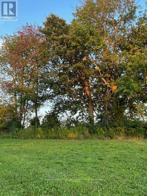 Pl 15 Base Line, Otonabee-South Monaghan, Ontario  K0L 2G0 - Photo 10 - X12495428