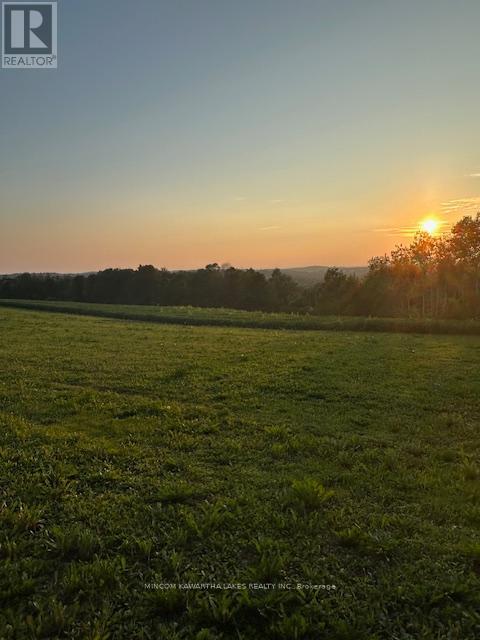 Pl 15 Base Line, Otonabee-South Monaghan, Ontario  K0L 2G0 - Photo 11 - X12495428