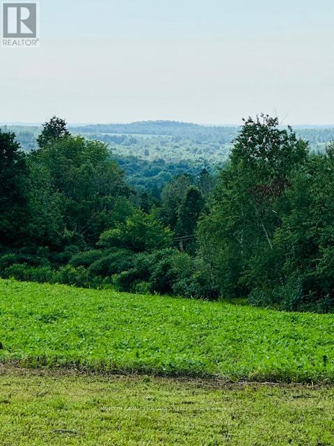 Pl 15 Base Line, Otonabee-South Monaghan, Ontario  K0L 2G0 - Photo 13 - X12495428