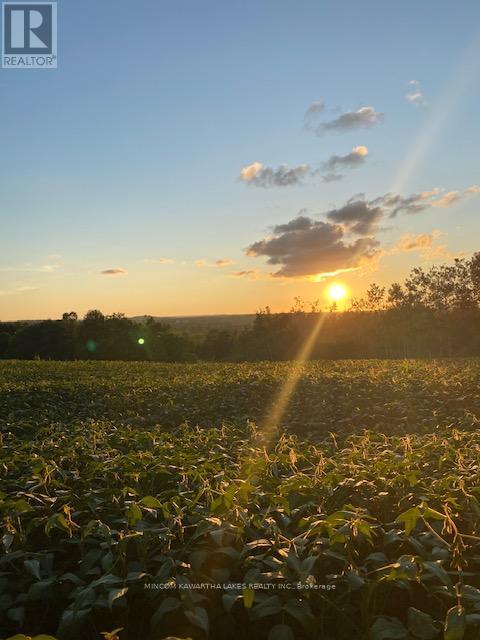 Pl 15 Base Line, Otonabee-South Monaghan, Ontario  K0L 2G0 - Photo 15 - X12495428