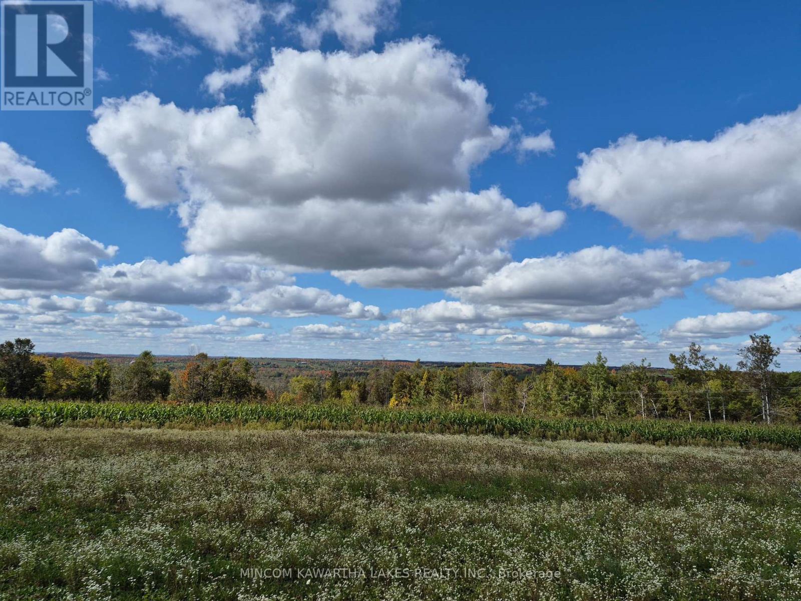 Pl 15 Base Line, Otonabee-South Monaghan, Ontario  K0L 2G0 - Photo 4 - X12495428