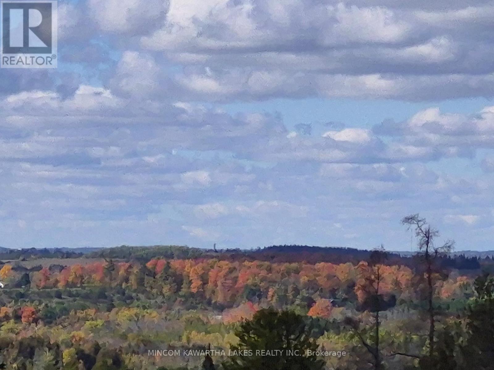 Pl 15 Base Line, Otonabee-South Monaghan, Ontario  K0L 2G0 - Photo 7 - X12495428