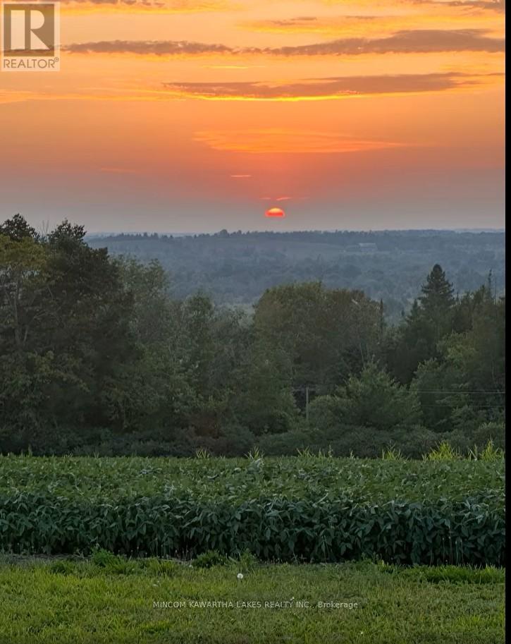 Pl 15 Base Line, Otonabee-South Monaghan, Ontario  K0L 2G0 - Photo 8 - X12495428