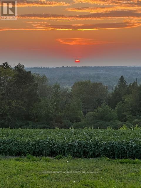 Pl 15 Base Line, Otonabee-South Monaghan, Ontario  K0L 2G0 - Photo 9 - X12495428