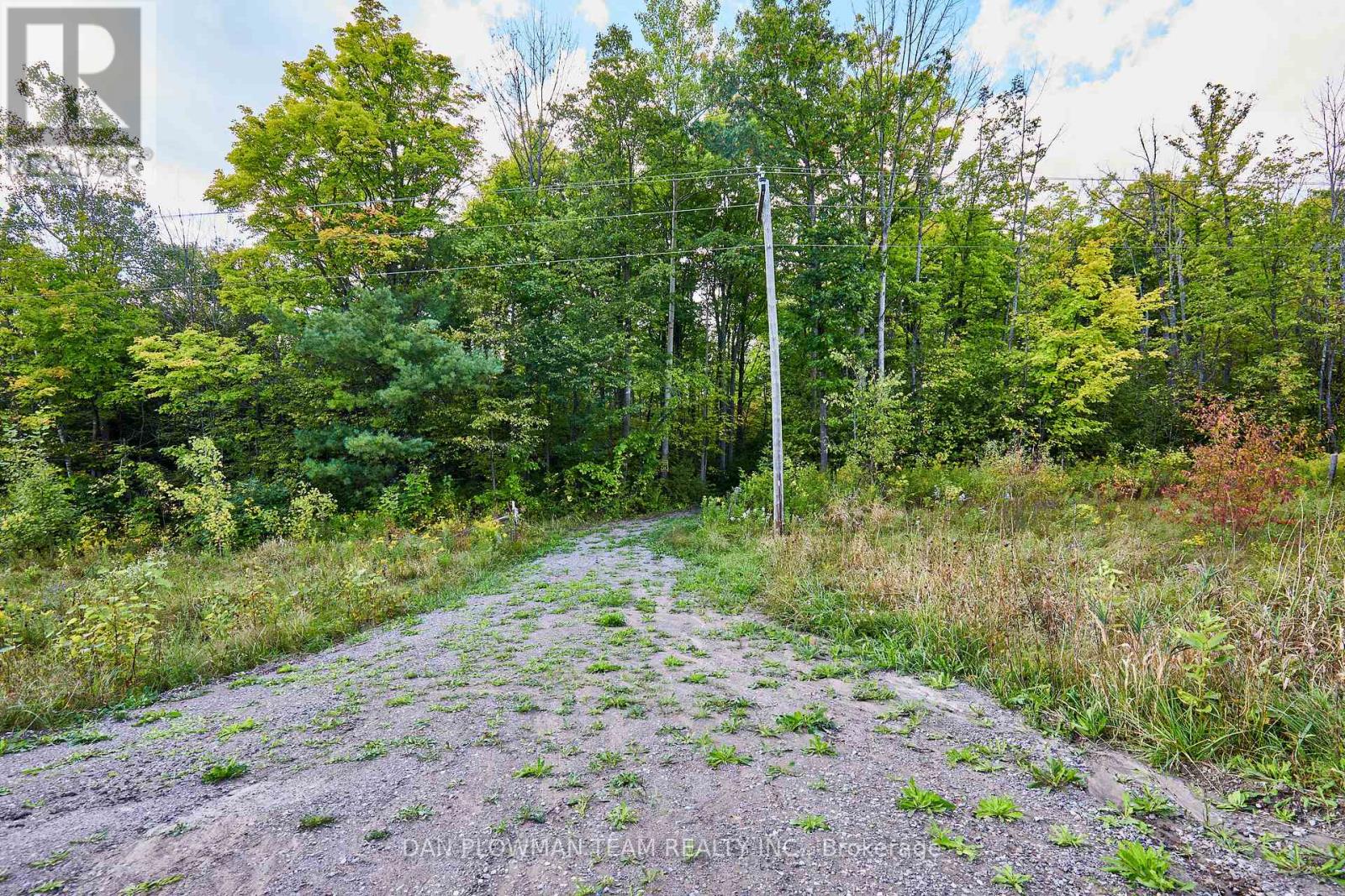 Part 2 County Rd 45, Trent Hills, Ontario  K0L 1Y0 - Photo 5 - X12496160