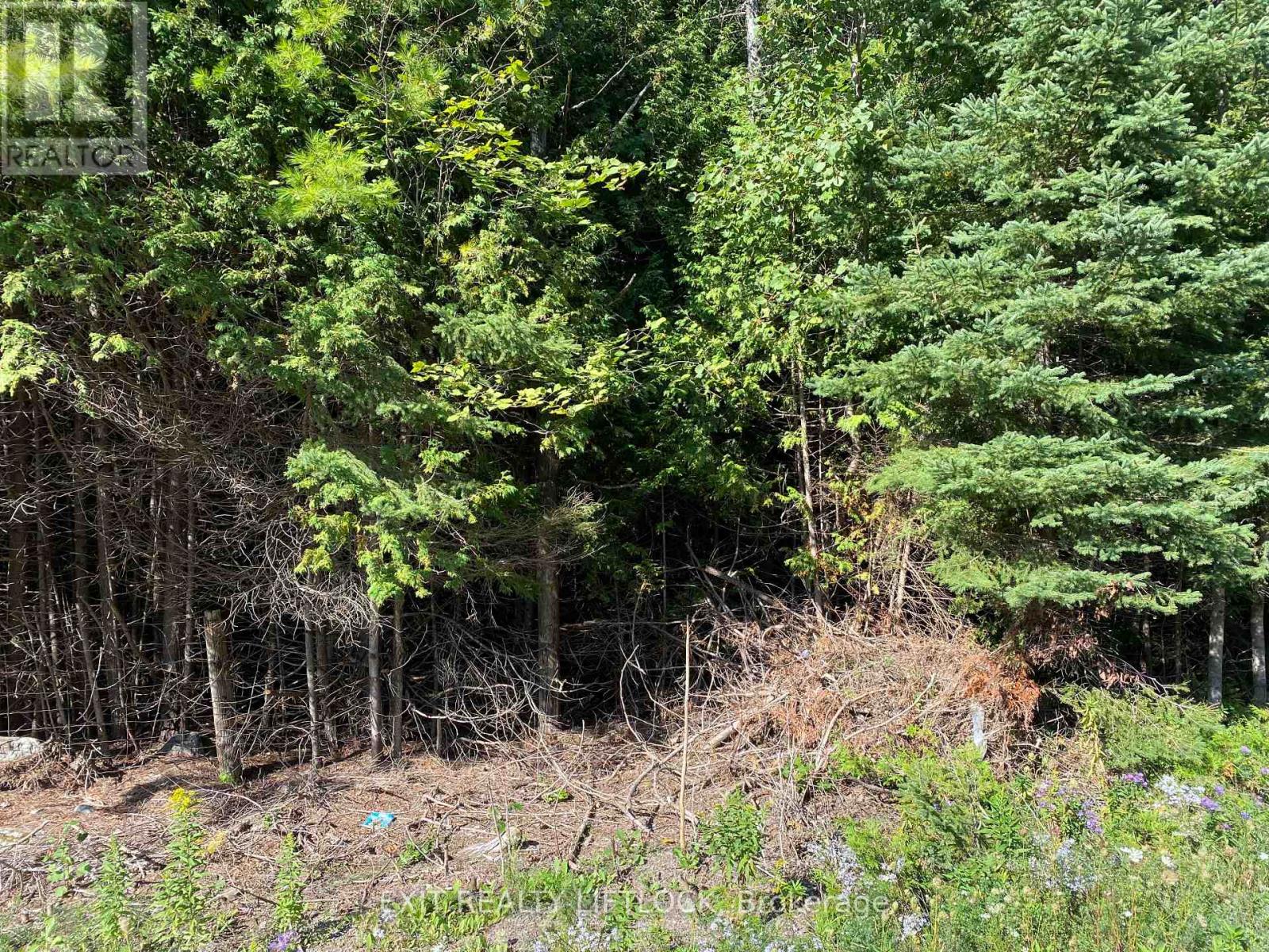 590 County Rd 40, Douro-Dummer, Ontario  K0L 2V0 - Photo 5 - X12496888