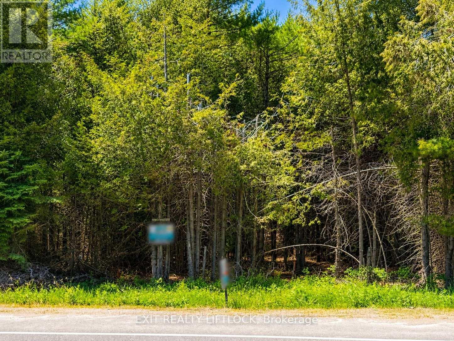 590 County Rd 40, Douro-Dummer, Ontario  K0L 2V0 - Photo 7 - X12496888