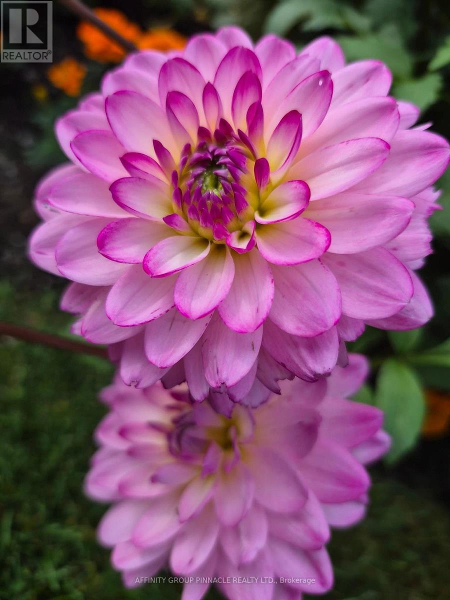 20 Ellis Crescent, Kawartha Lakes (Lindsay), Ontario  K9V 0A5 - Photo 30 - X12497748