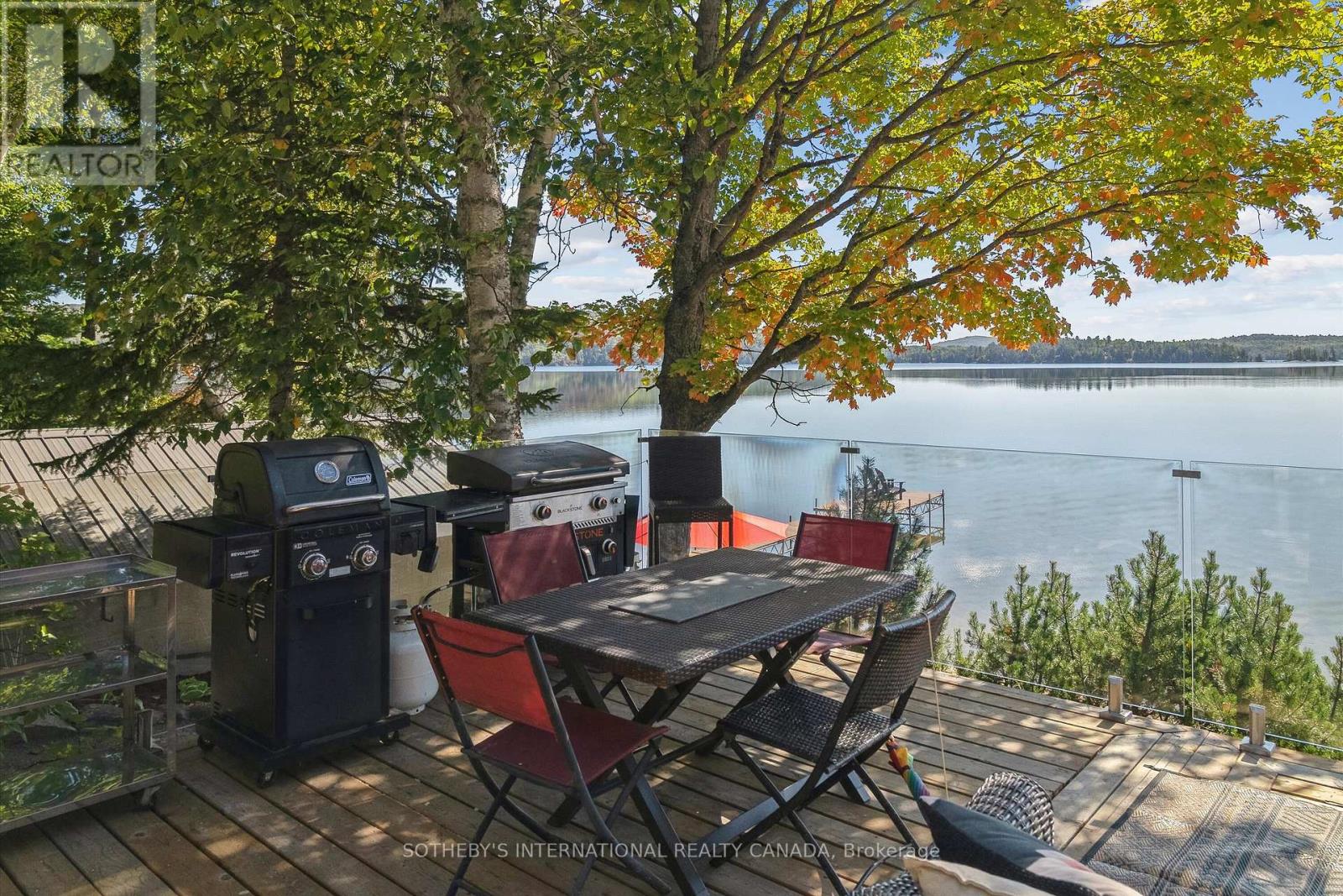 30 Tara Court, Hastings Highlands (Wicklow Ward), Ontario  K0L 2R0 - Photo 29 - X12497868