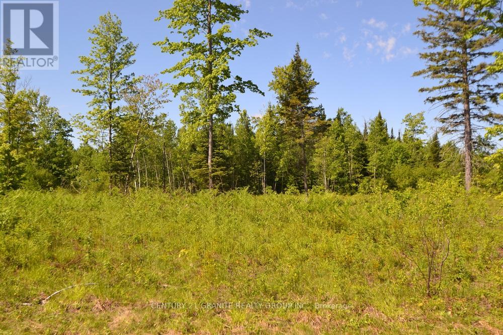 57 Nicklaus Drive, Bancroft (Bancroft Ward), Ontario  K0L 1C0 - Photo 6 - X12501996