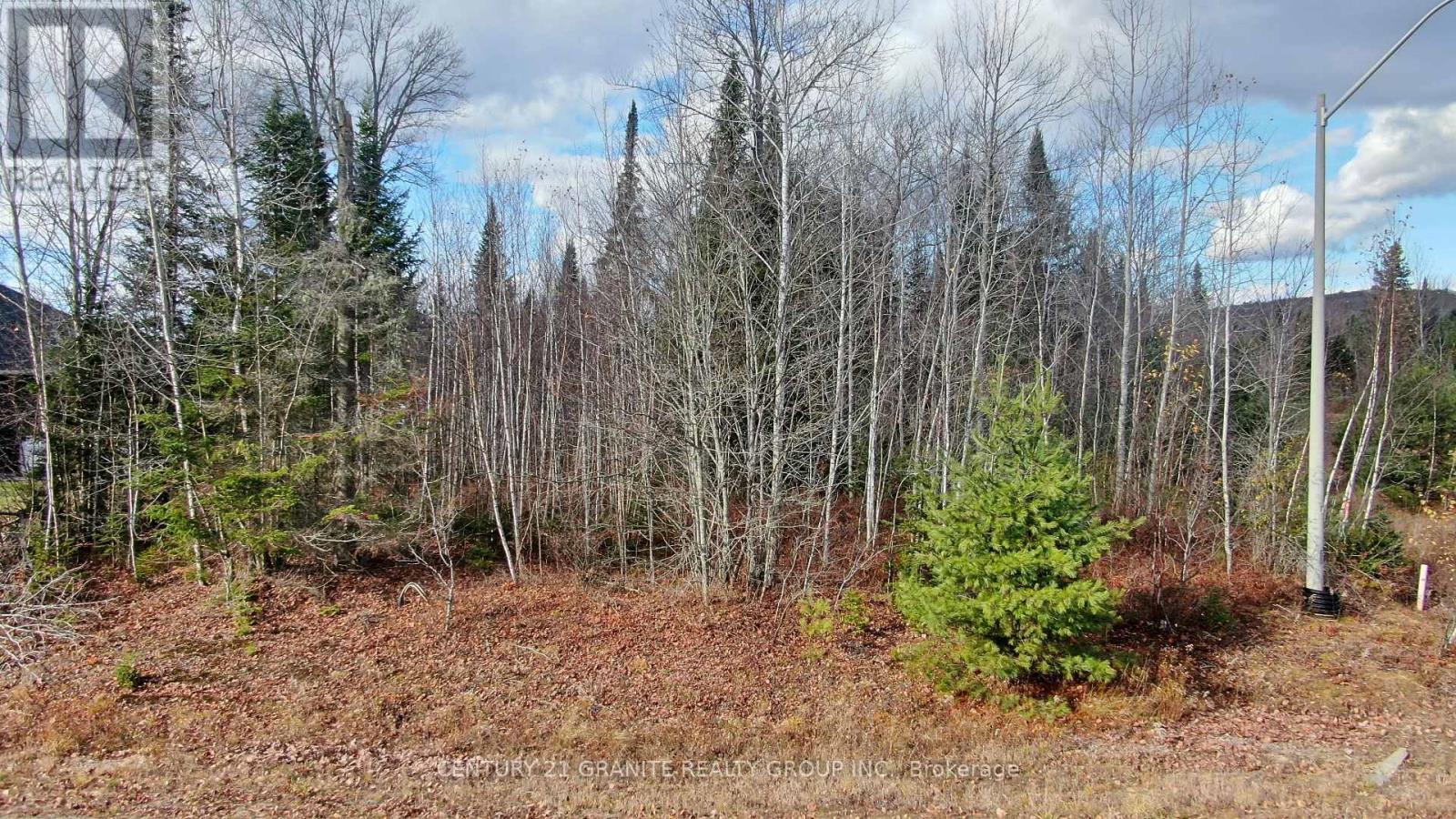 57 Nicklaus Drive, Bancroft (Bancroft Ward), Ontario  K0L 1C0 - Photo 8 - X12501996