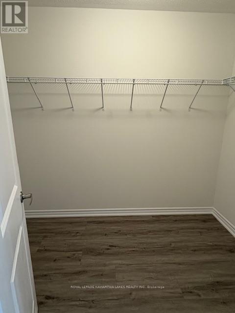 49 Hickey Lane, Kawartha Lakes (Lindsay), Ontario  K9V 0T3 - Photo 12 - X12502242