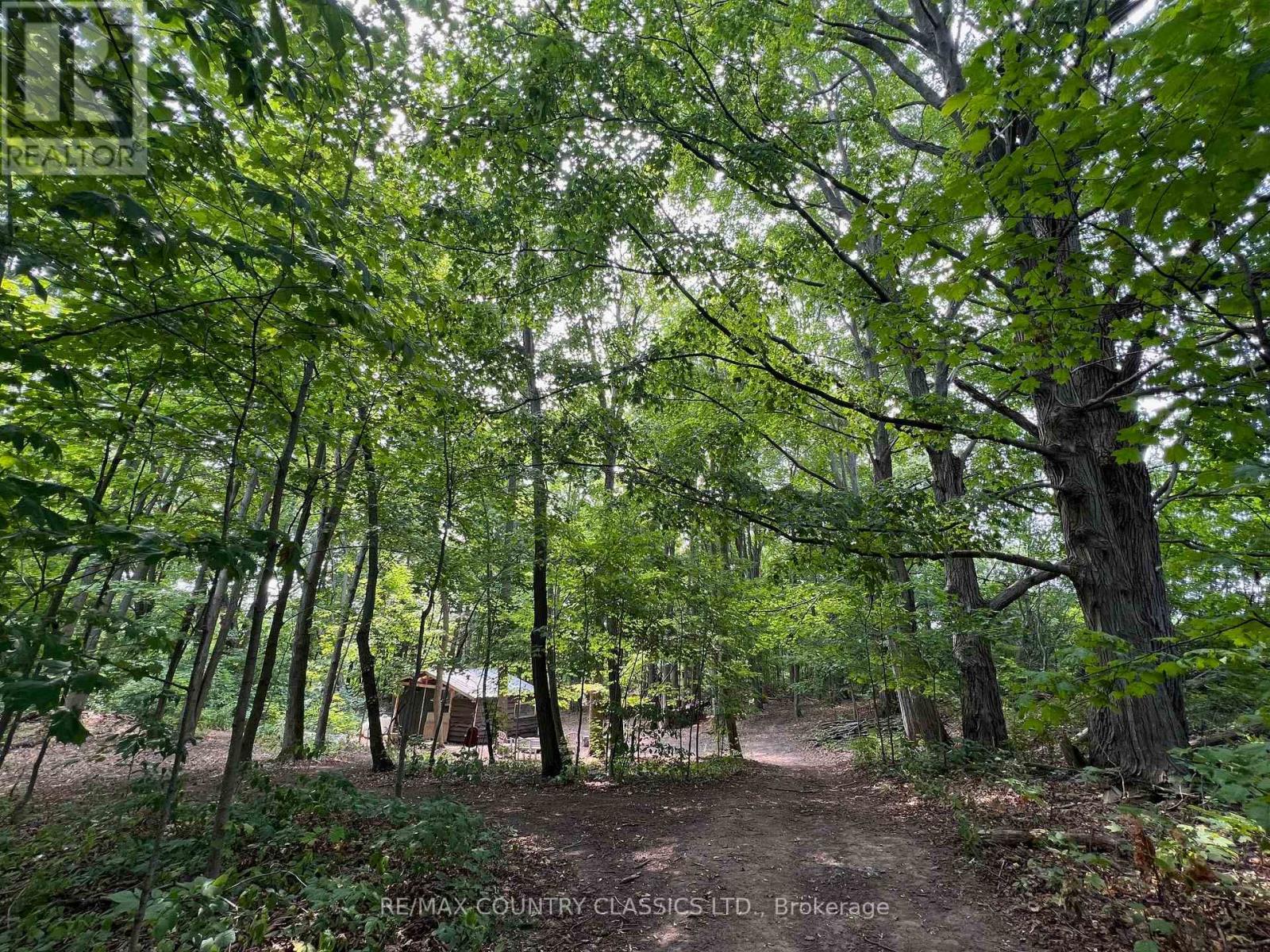 86 Scriven Road, Otonabee-South Monaghan, Ontario  K0L 1B0 - Photo 24 - X12508946