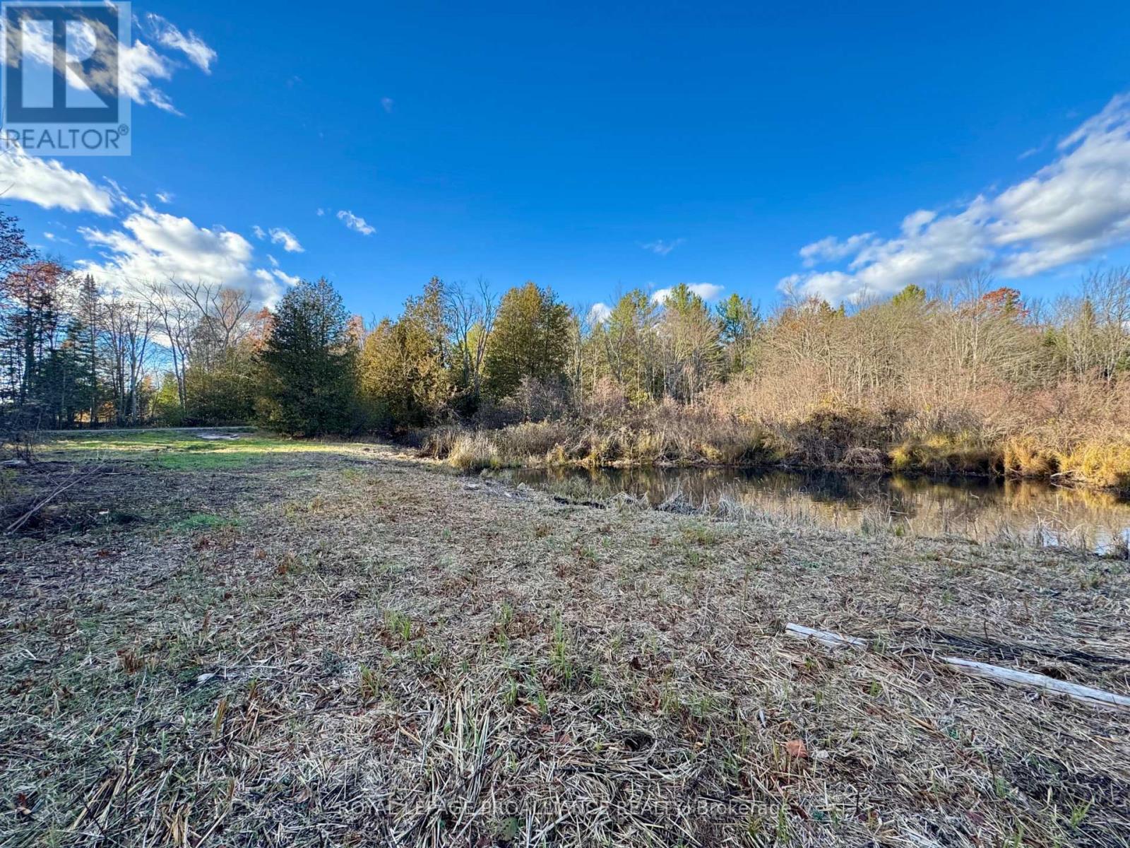 412 Mccauley's Road, North Kawartha, Ontario  K0L 1A0 - Photo 19 - X12510038