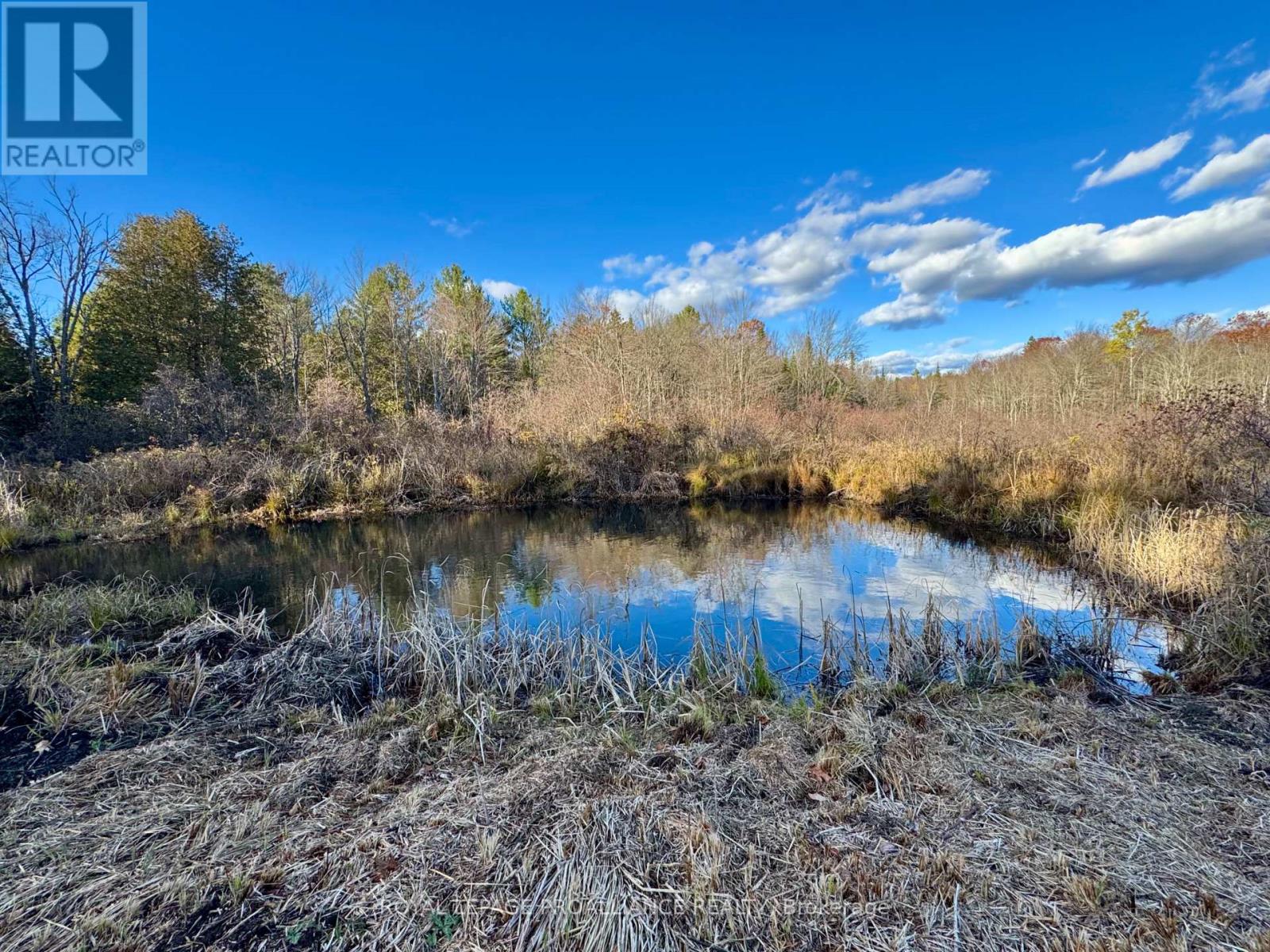 412 Mccauley's Road, North Kawartha, Ontario  K0L 1A0 - Photo 20 - X12510038