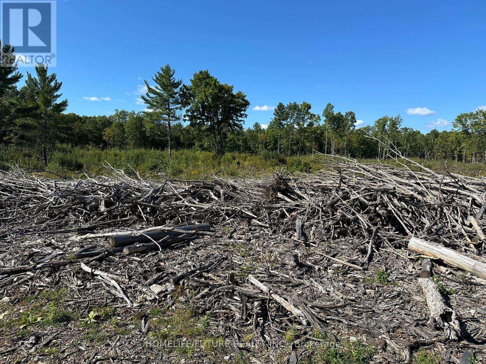 Pt/lt13 Belmont Concession, Havelock-Belmont-Methuen (Belmont-Methuen), Ontario  K0L 1Z0 - Photo 10 - X12509880