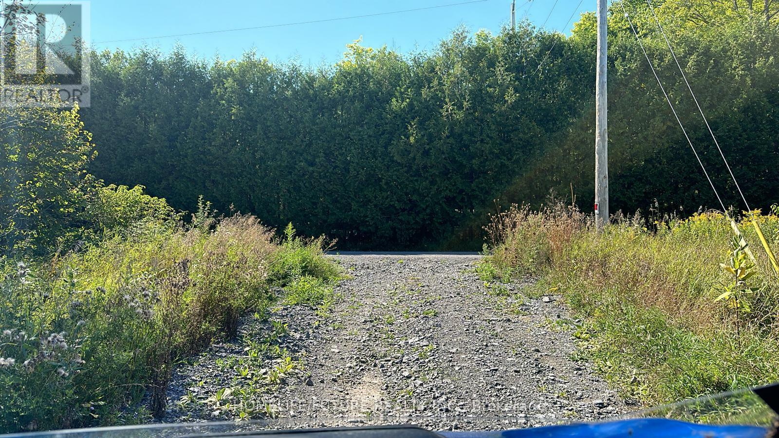 Pt/lt13 Belmont Concession, Havelock-Belmont-Methuen (Belmont-Methuen), Ontario  K0L 1Z0 - Photo 11 - X12509880