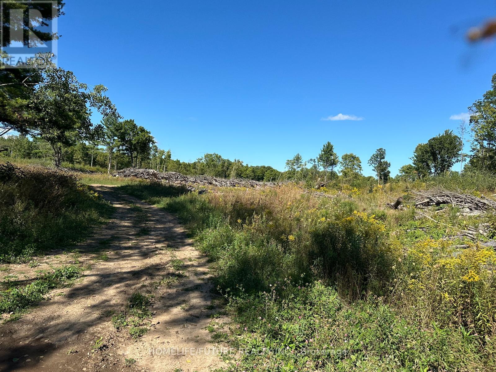 Pt/lt13 Belmont Concession, Havelock-Belmont-Methuen (Belmont-Methuen), Ontario  K0L 1Z0 - Photo 13 - X12509880