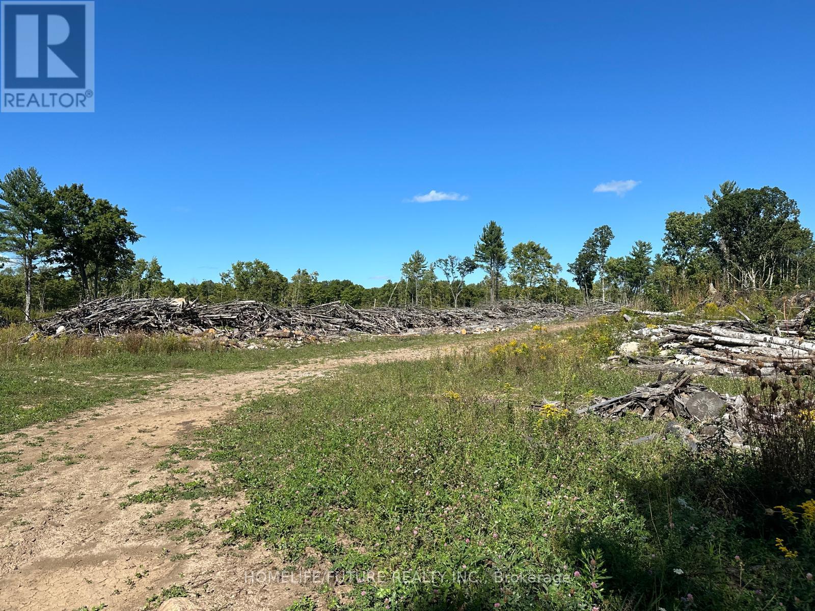 Pt/lt13 Belmont Concession, Havelock-Belmont-Methuen (Belmont-Methuen), Ontario  K0L 1Z0 - Photo 14 - X12509880