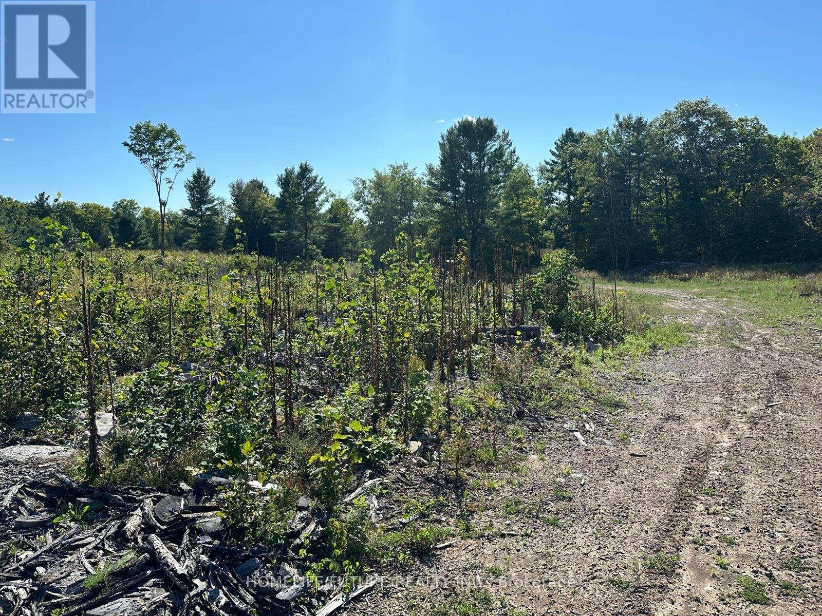 Pt/lt13 Belmont Concession, Havelock-Belmont-Methuen (Belmont-Methuen), Ontario  K0L 1Z0 - Photo 15 - X12509880