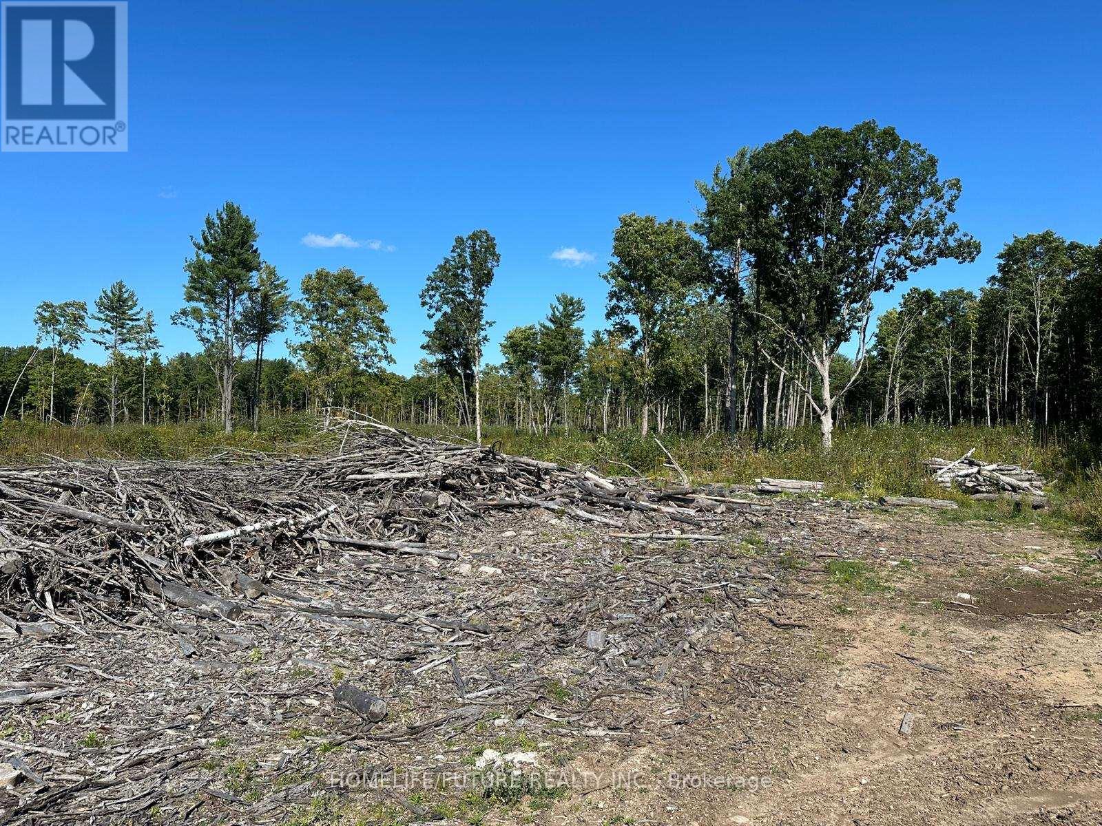 Pt/lt13 Belmont Concession, Havelock-Belmont-Methuen (Belmont-Methuen), Ontario  K0L 1Z0 - Photo 2 - X12509880