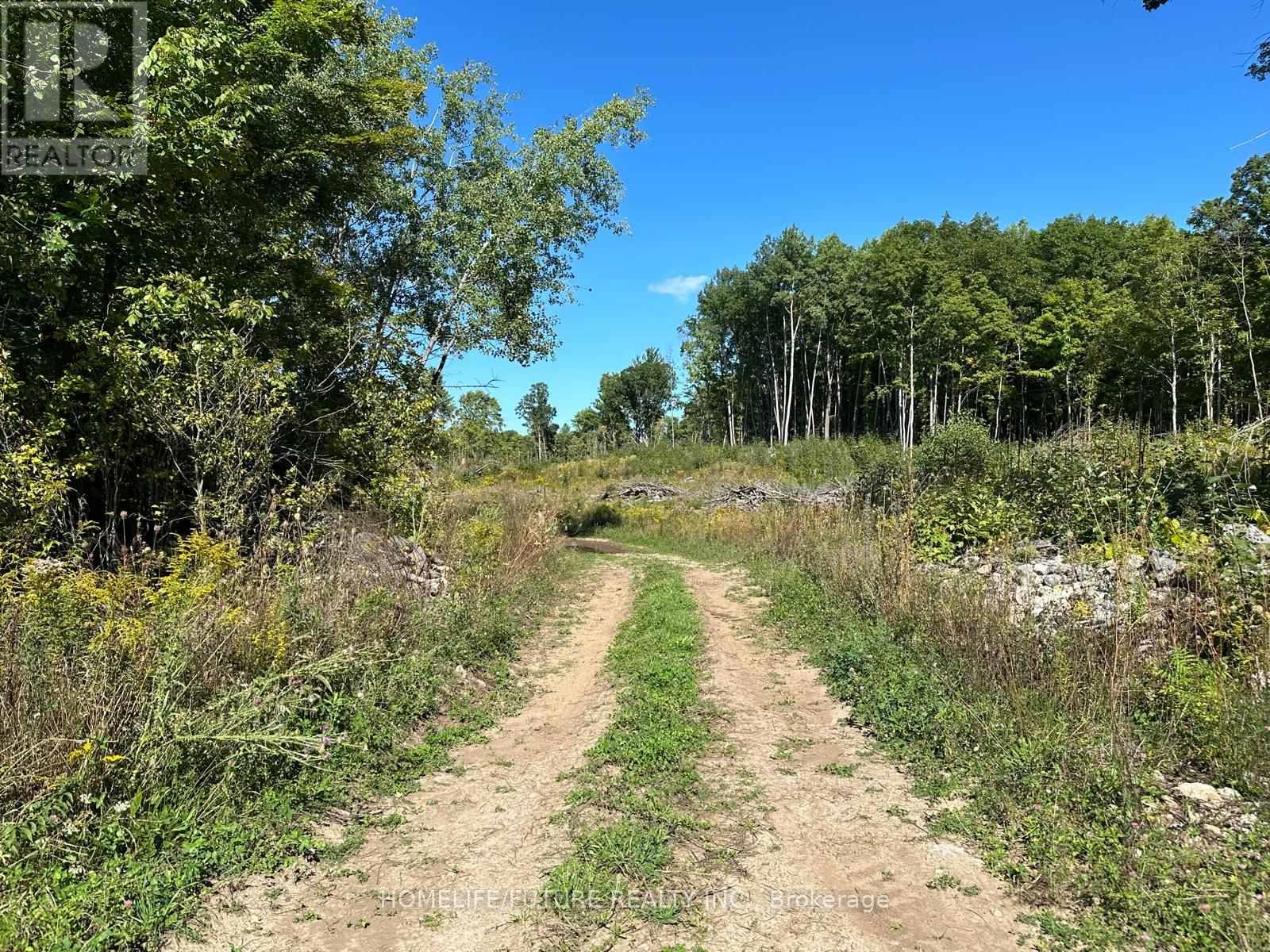 Pt/lt13 Belmont Concession, Havelock-Belmont-Methuen (Belmont-Methuen), Ontario  K0L 1Z0 - Photo 3 - X12509880