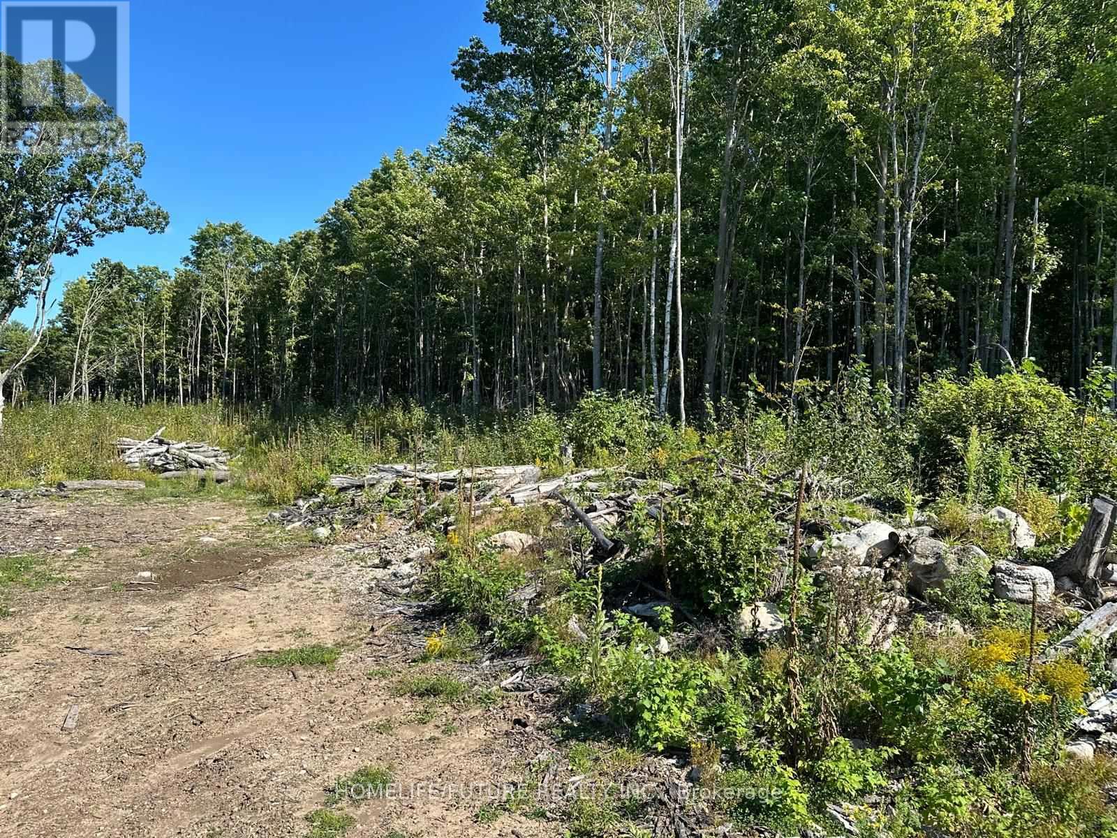 Pt/lt13 Belmont Concession, Havelock-Belmont-Methuen (Belmont-Methuen), Ontario  K0L 1Z0 - Photo 6 - X12509880