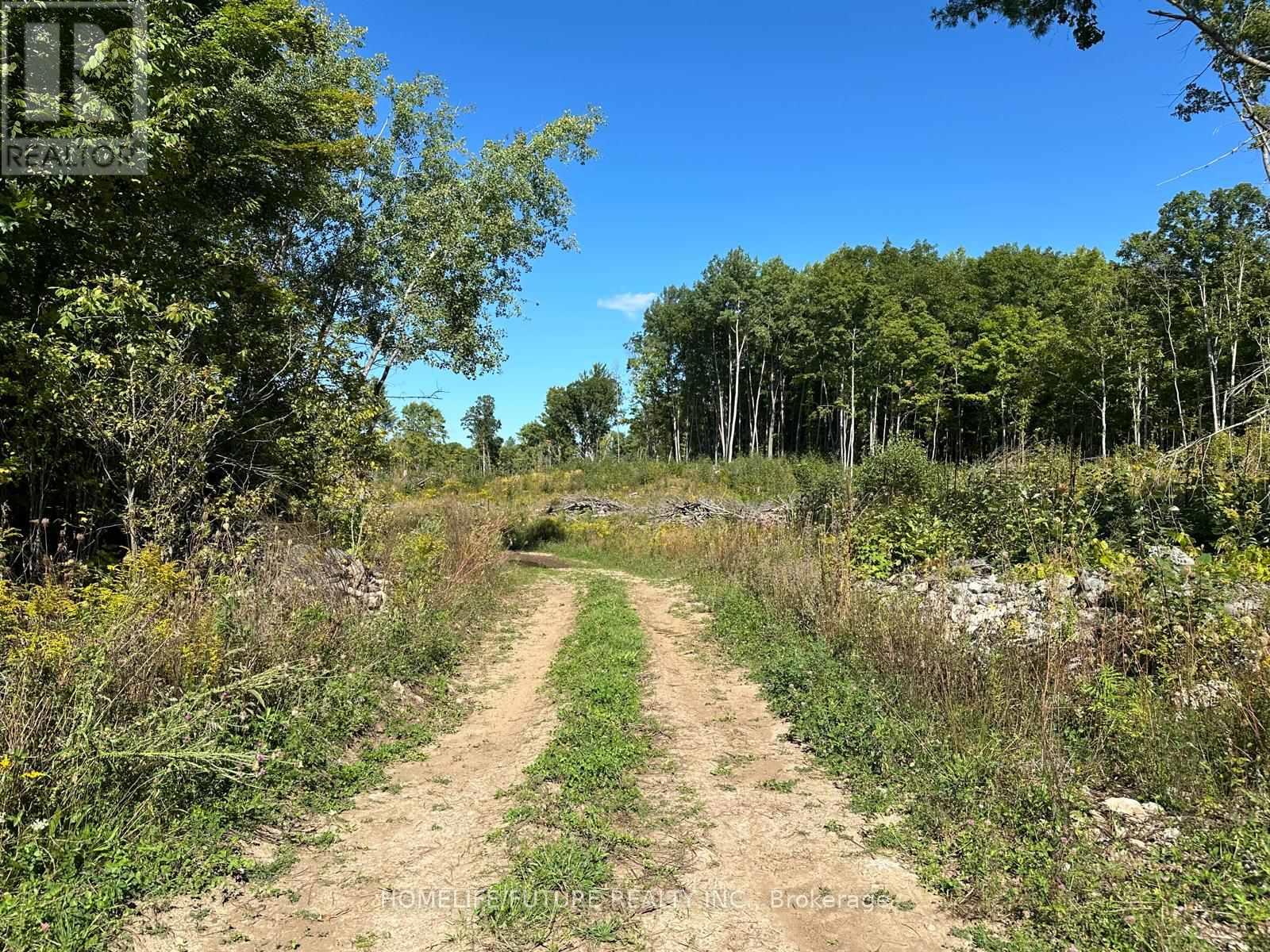 Pt/lt13 Belmont Concession, Havelock-Belmont-Methuen (Belmont-Methuen), Ontario  K0L 1Z0 - Photo 8 - X12509880