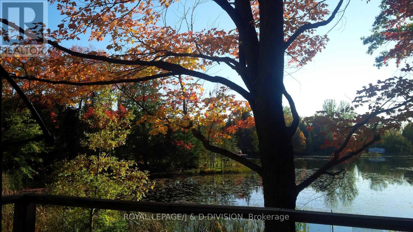 1721 Greenwood Lane E, Selwyn, Ontario  K0L 2H0 - Photo 3 - X12509922