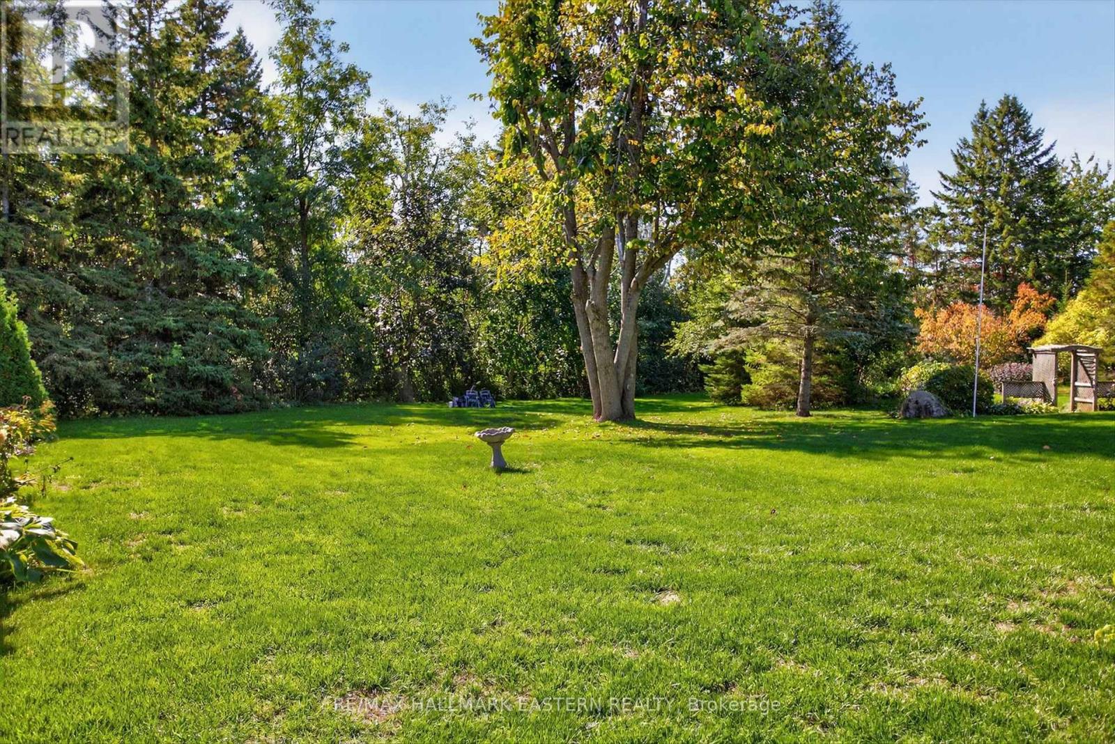 244 Patricia Crescent, Selwyn, Ontario  K9J 0C7 - Photo 34 - X12513258