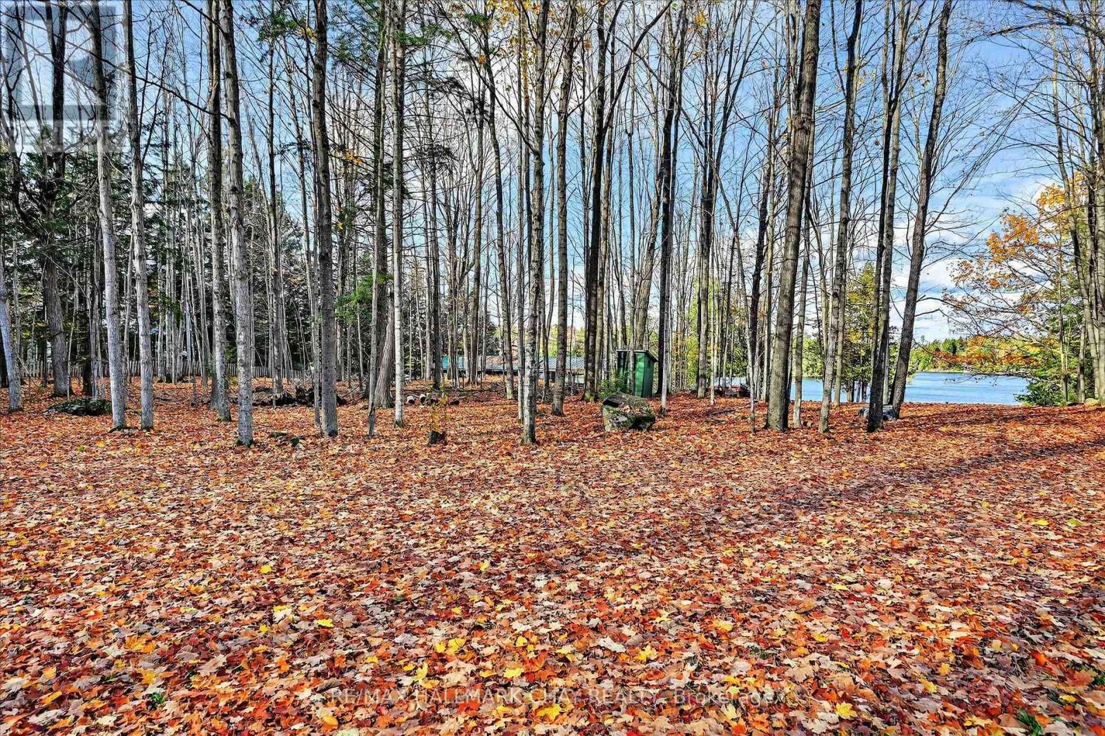 1452-1460 Birchview Road, Douro-Dummer, Ontario  K0L 2H0 - Photo 19 - X12515734