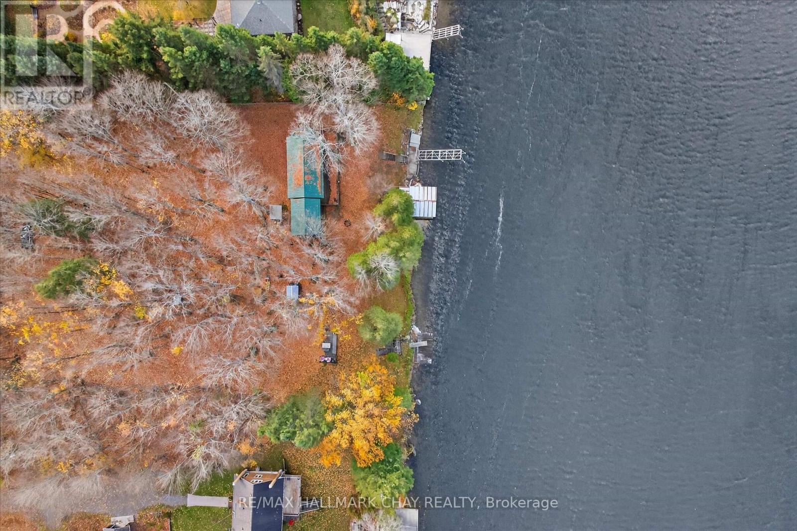 1452-1460 Birchview Road, Douro-Dummer, Ontario  K0L 2H0 - Photo 26 - X12515734