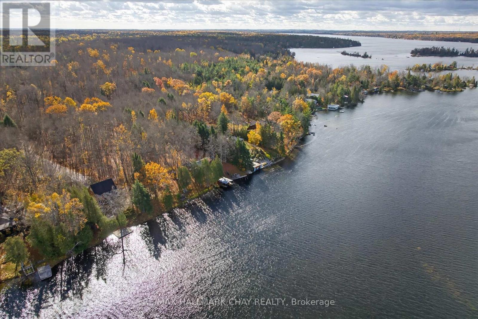 1452-1460 Birchview Road, Douro-Dummer, Ontario  K0L 2H0 - Photo 34 - X12515734