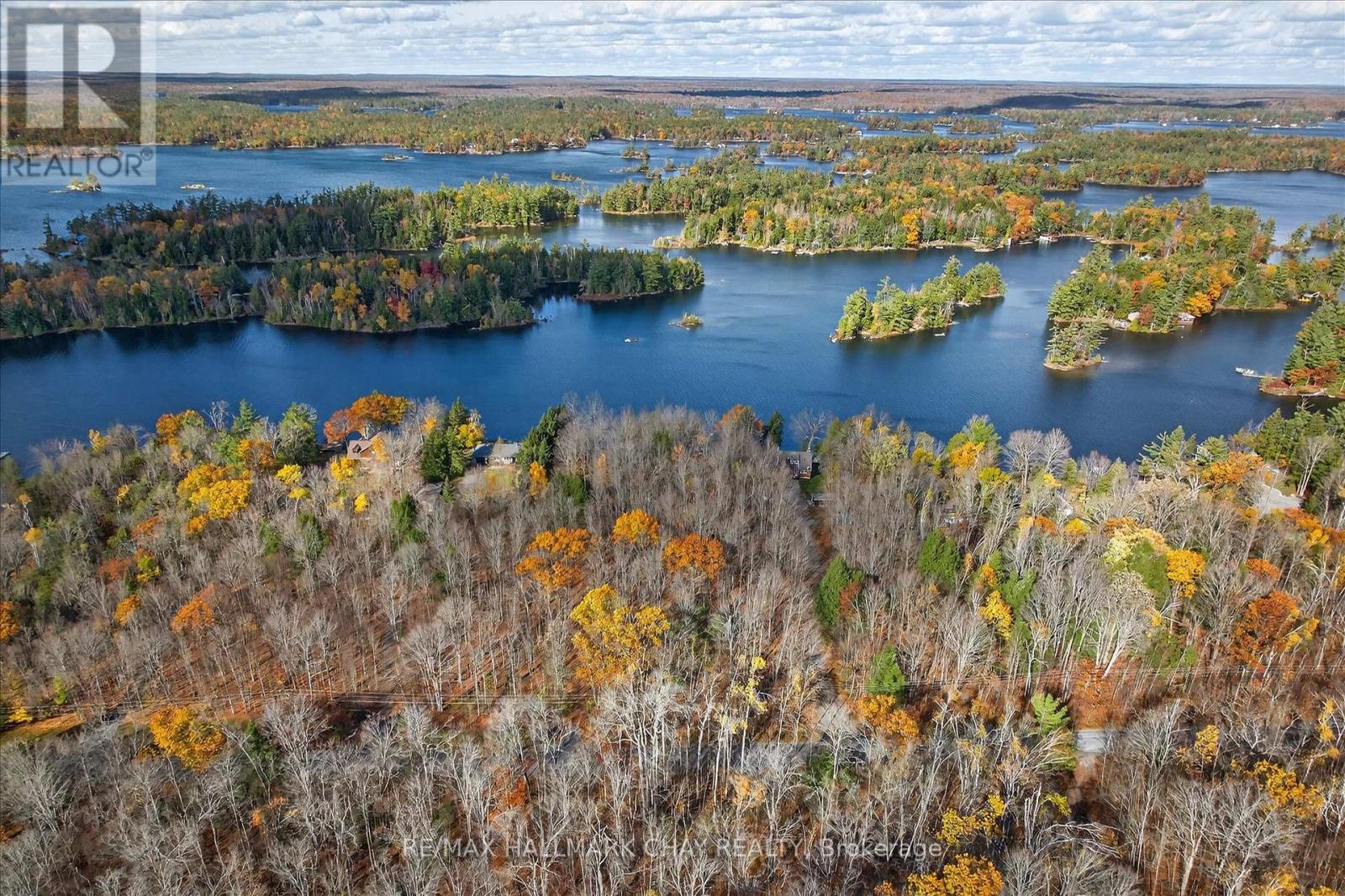 1452-1460 Birchview Road, Douro-Dummer, Ontario  K0L 2H0 - Photo 37 - X12515734