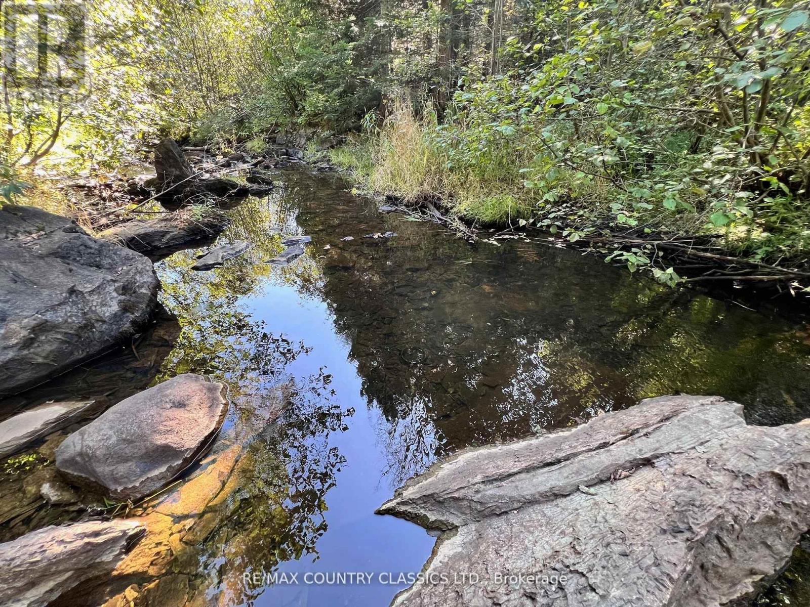 634 Lower Turriff Road, Bancroft (Dungannon Ward), Ontario  K0L 2L0 - Photo 14 - X12516692