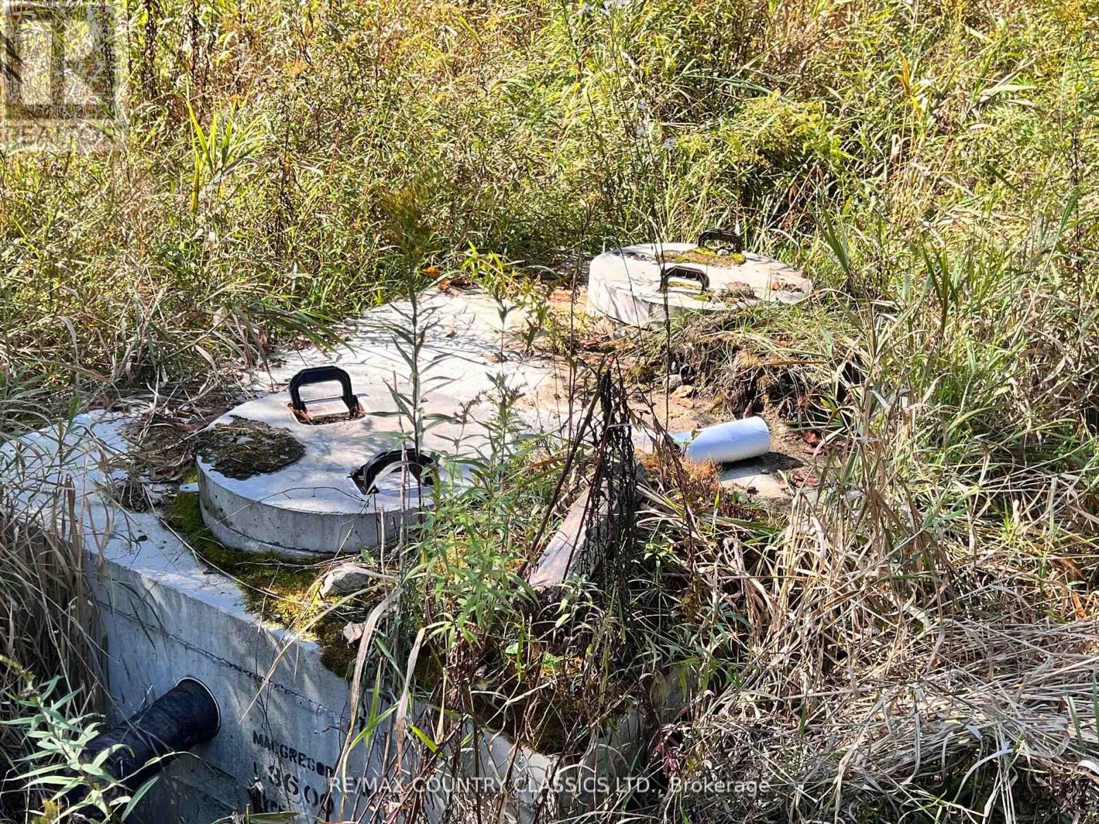 634 Lower Turriff Road, Bancroft (Dungannon Ward), Ontario  K0L 2L0 - Photo 6 - X12516692