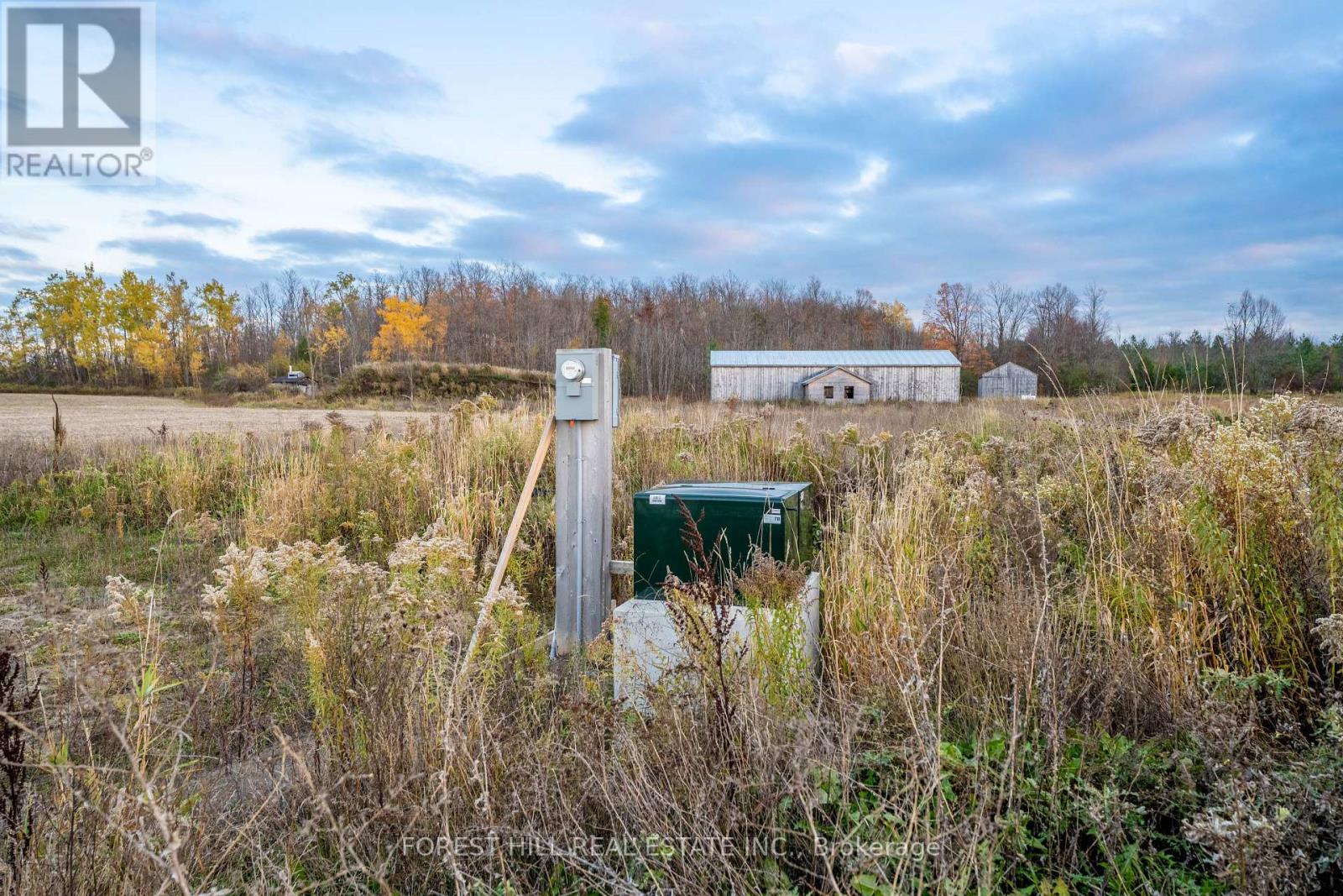 635 Wilson Line, Cavan Monaghan (Cavan Twp), Ontario  L0A 1C0 - Photo 8 - X12518636