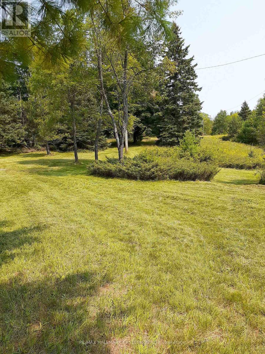 1614 County Road 504, North Kawartha, Ontario  K0L 1A0 - Photo 2 - X12518794