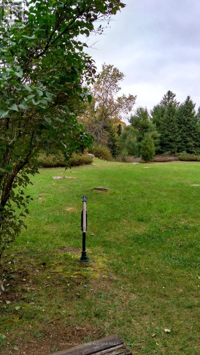 1614 County Road 504, North Kawartha, Ontario  K0L 1A0 - Photo 3 - X12518794