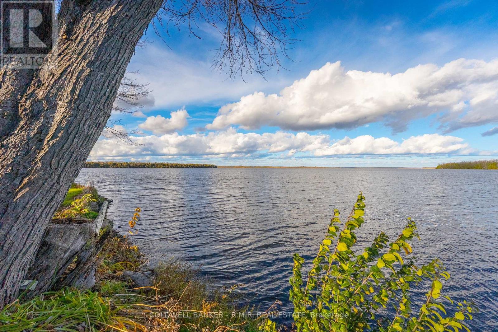 74 Butternut Drive, Kawartha Lakes (Fenelon), Ontario  K9V 4R1 - Photo 11 - X12518886