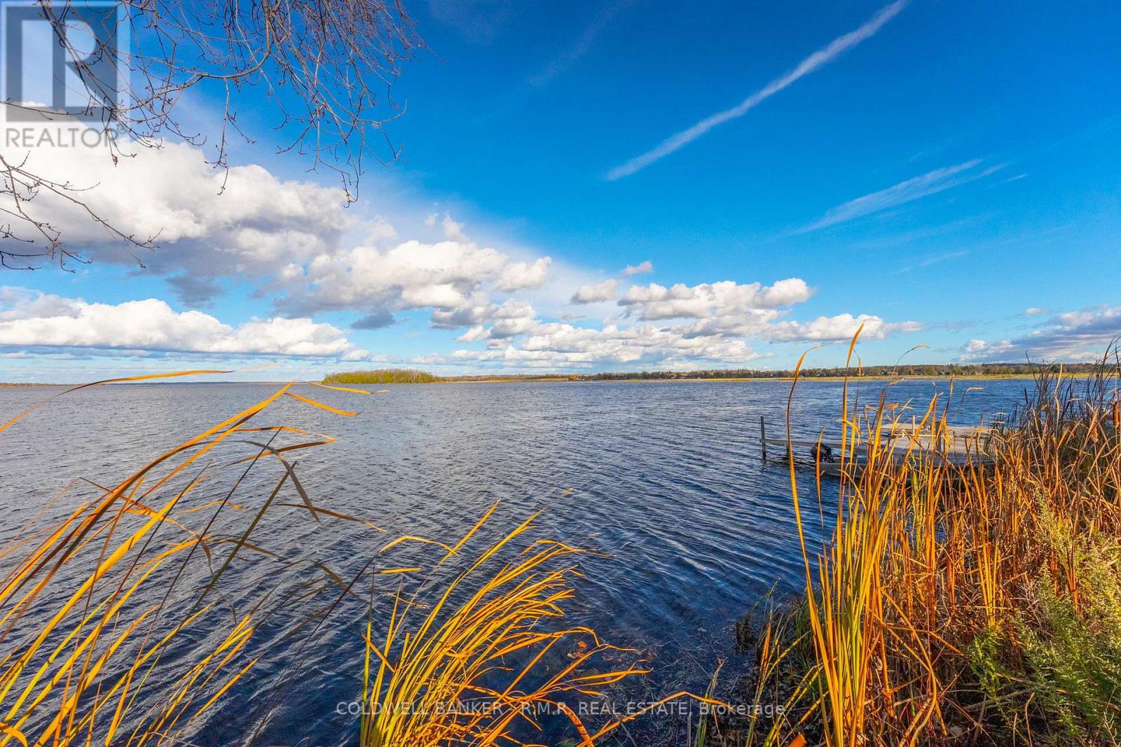 74 Butternut Drive, Kawartha Lakes (Fenelon), Ontario  K9V 4R1 - Photo 9 - X12518886