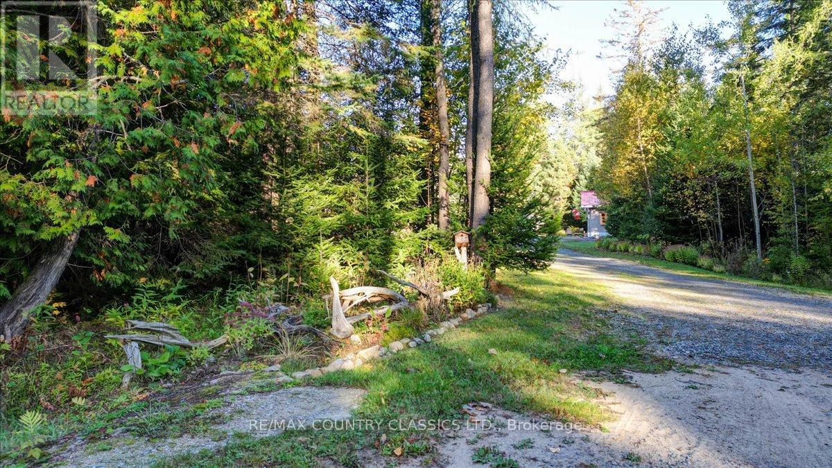 1689 Graphite Road, Hastings Highlands (Monteagle Ward), Ontario  K0L 2S0 - Photo 2 - X12521072