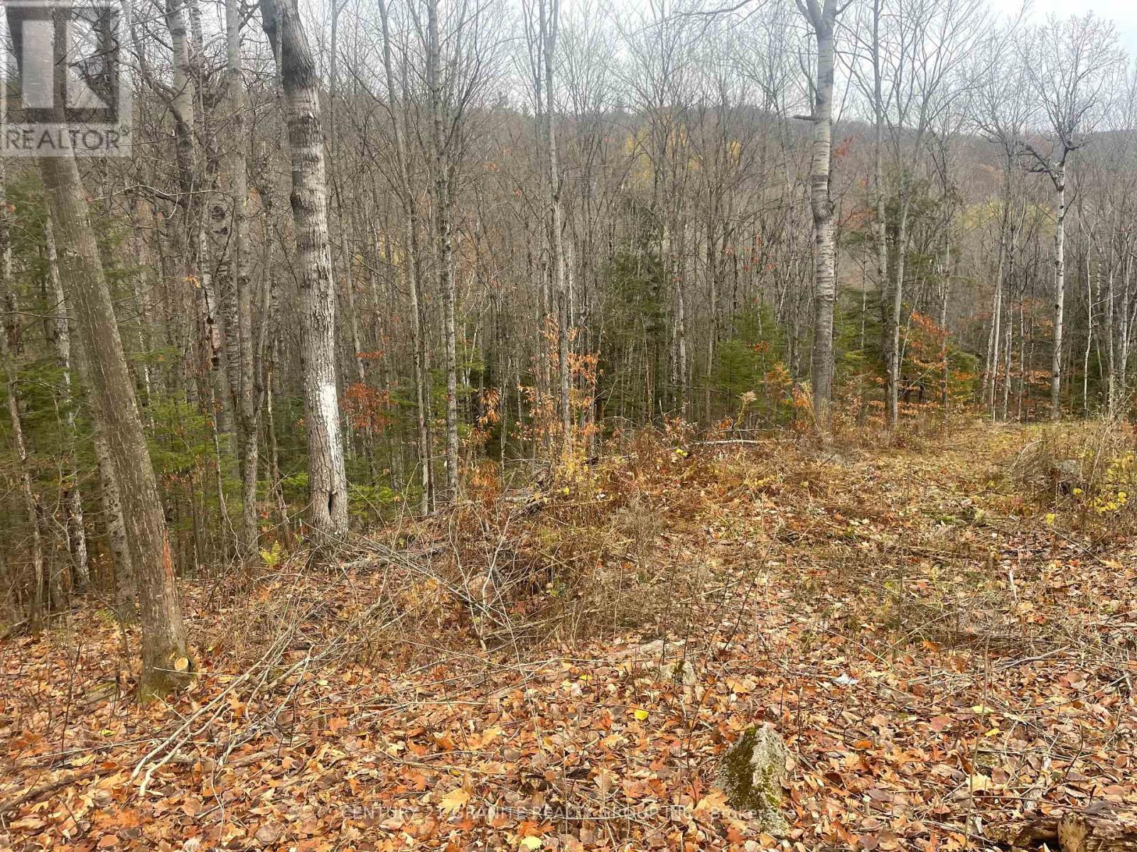 0 Snow Road, Bancroft (Bancroft Ward), Ontario  K0L 1C0 - Photo 2 - X12521898